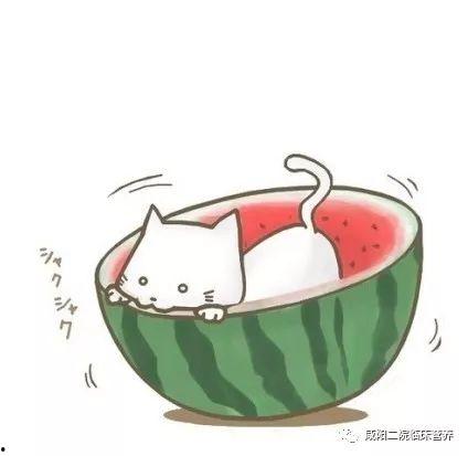 娱乐吃瓜头像图片图文并茂